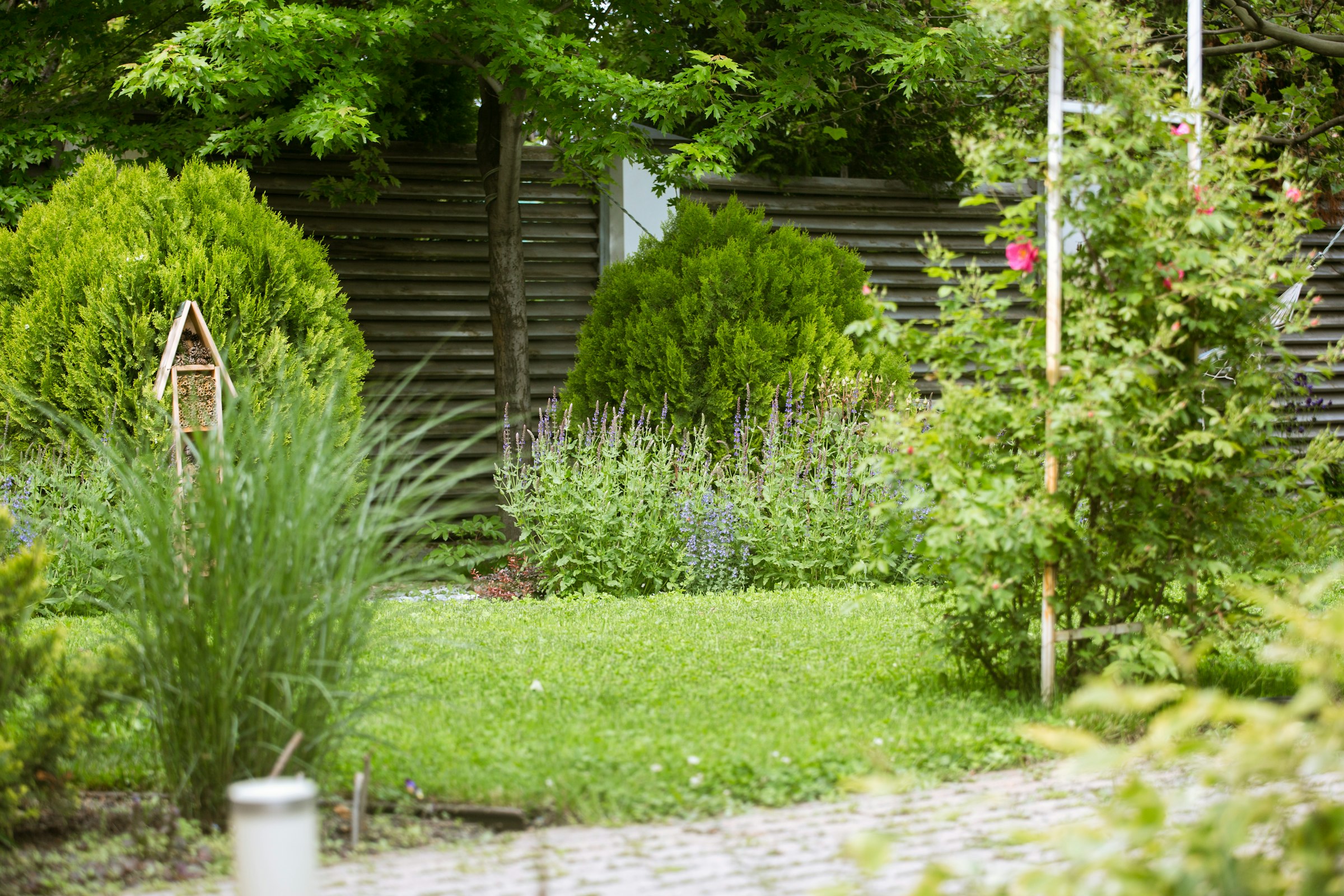 Lush garden with stone path, birdhouse, and mature planting
