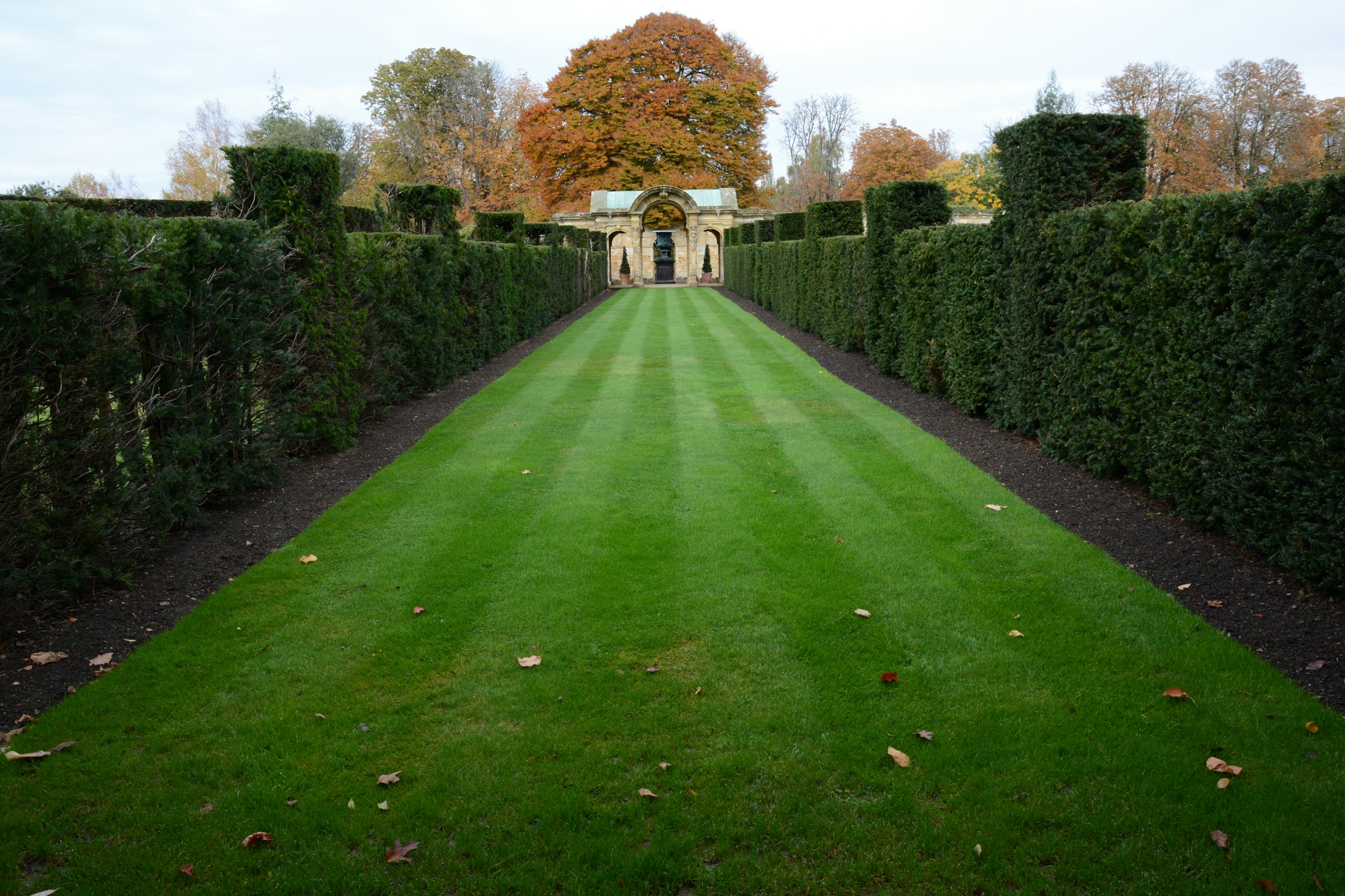 Manicured lawn with trimmed hedges bordering a home