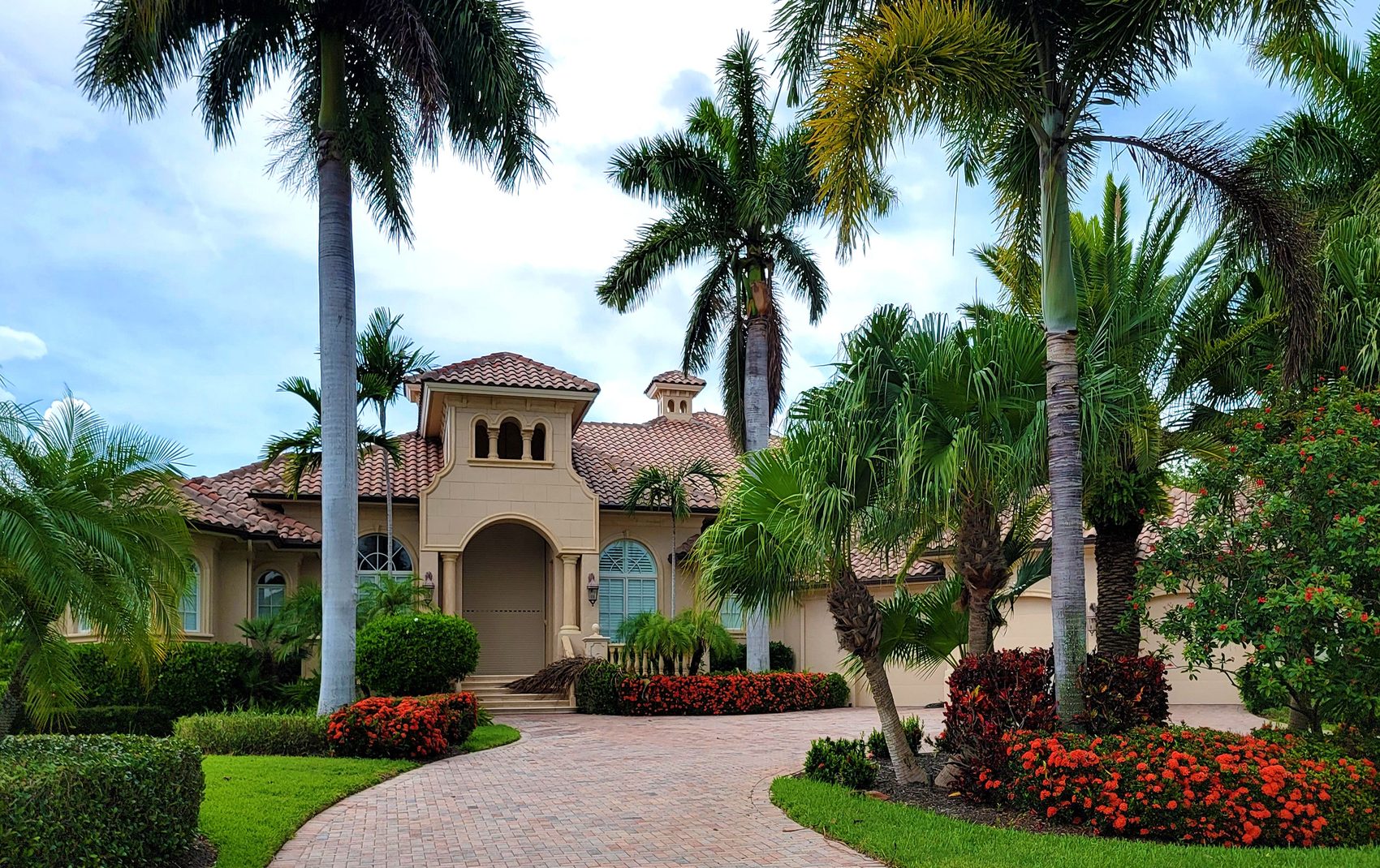 Finished front yard landscaping with mature palms and flowering shrubs lining a paver driveway