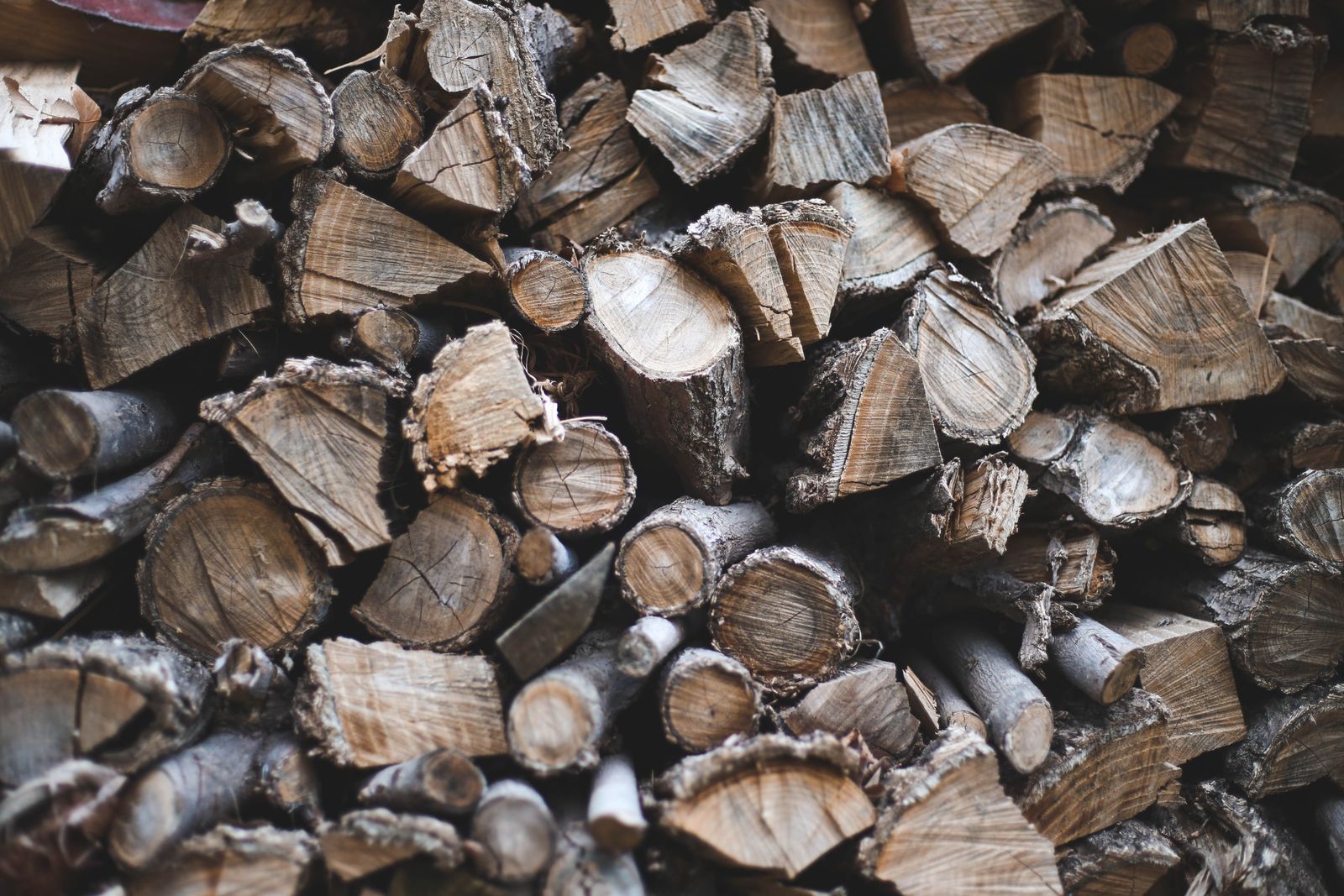 Pile of cut logs from a felled tree