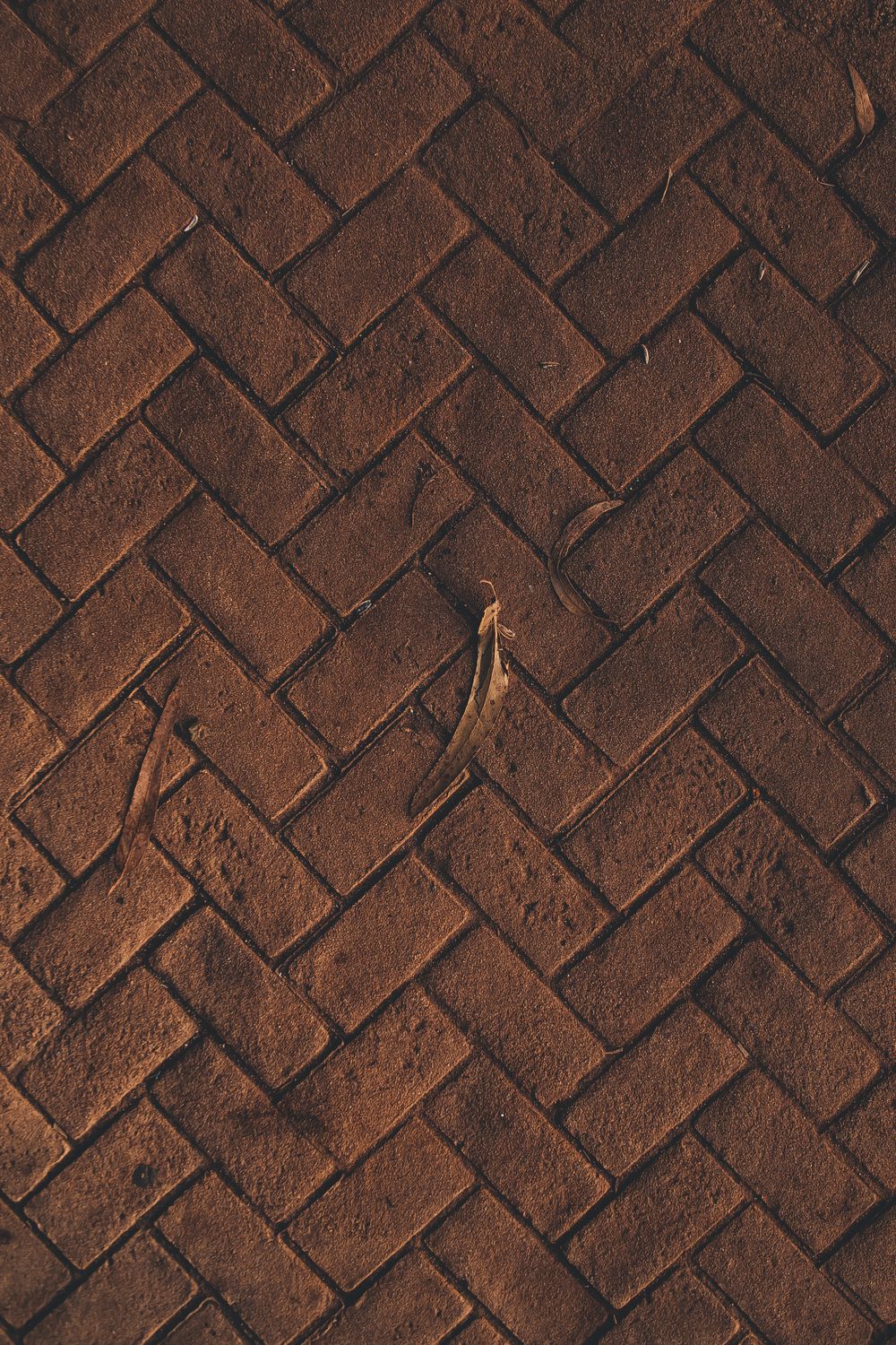Dark brown herringbone paving