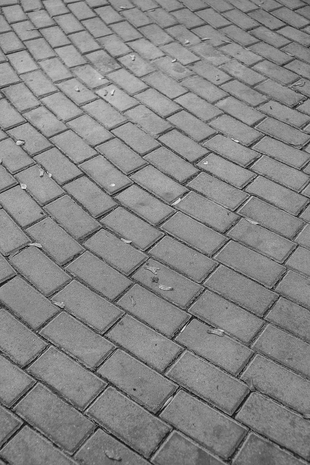 Wavy pattern grey paving blocks