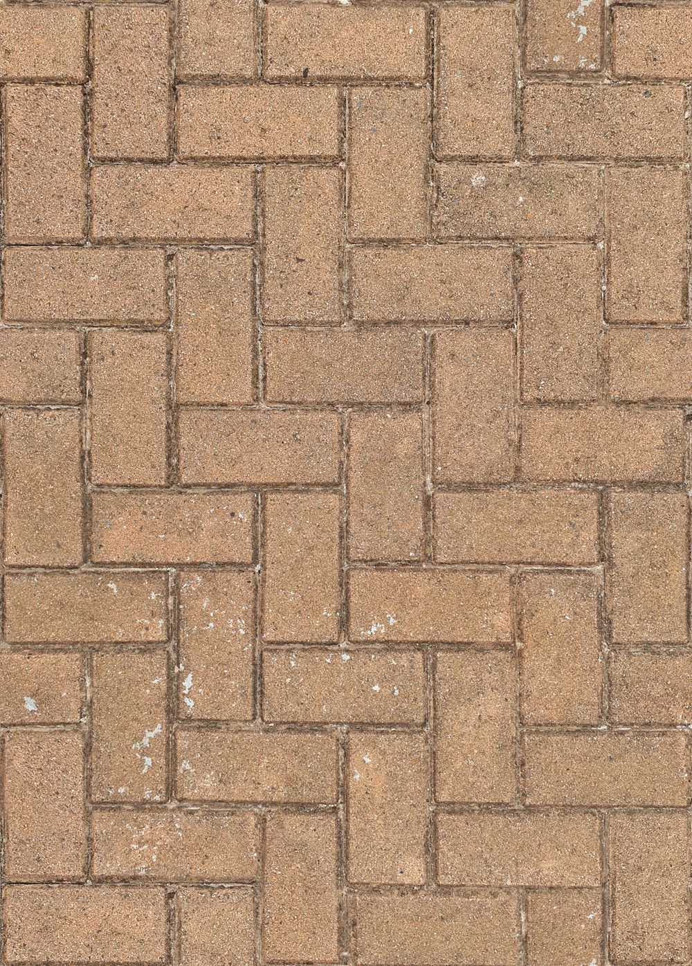 Brick paving on a shaded terrace
