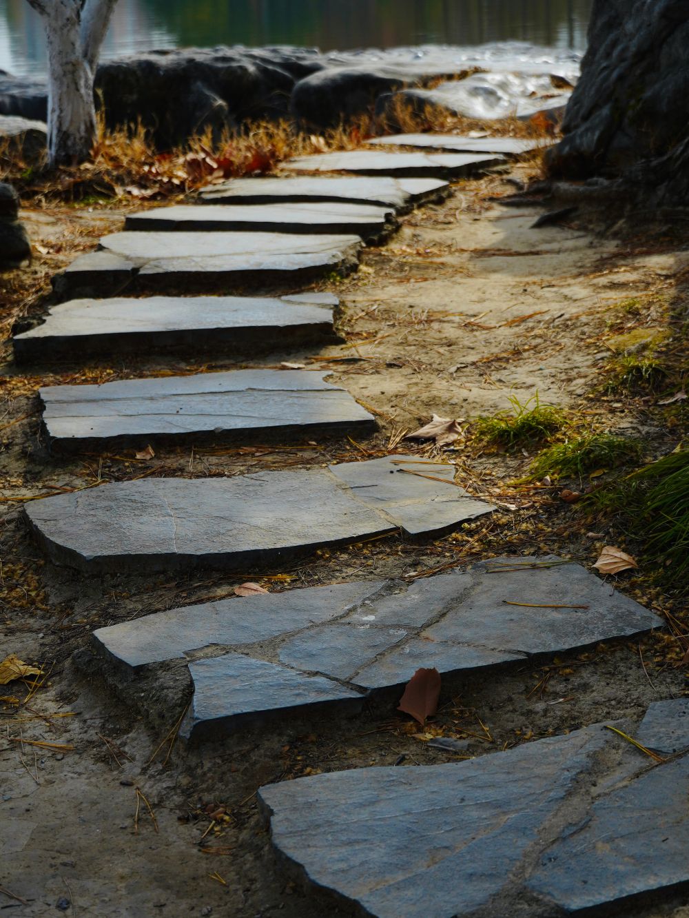 Natural stone stepping slabs through a garden