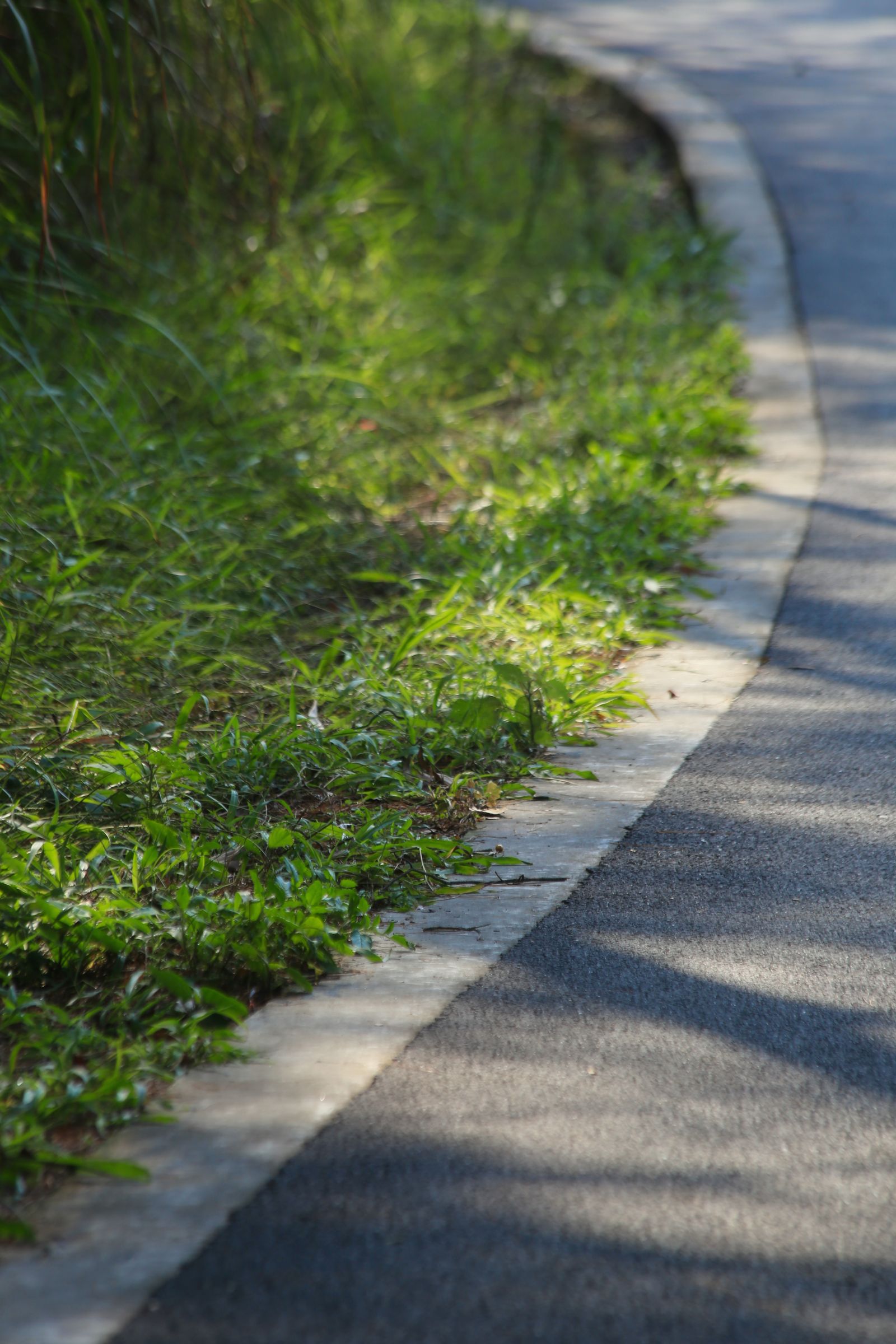 Curved concrete kerb edging a road beside grass
