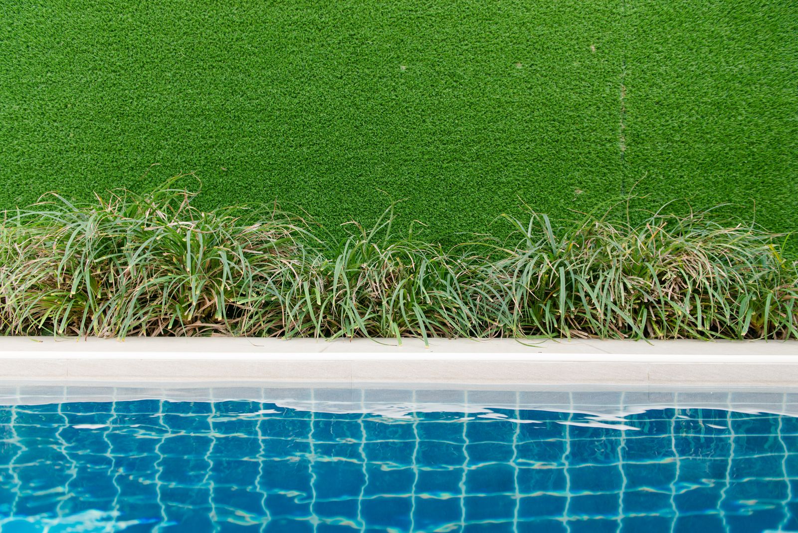 Green artificial turf next to a blue swimming pool