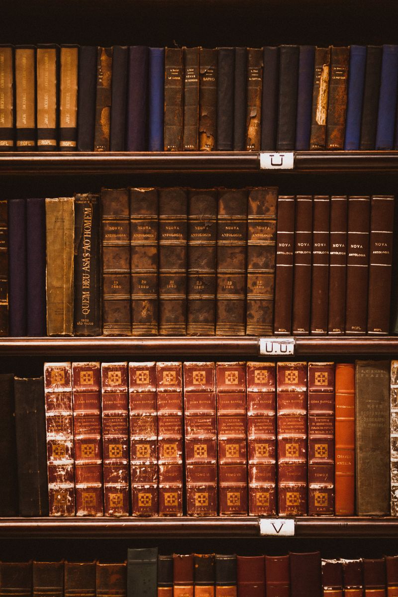 Bound legal volumes in the firm's reference library